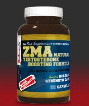 5004 ZMA.jpg